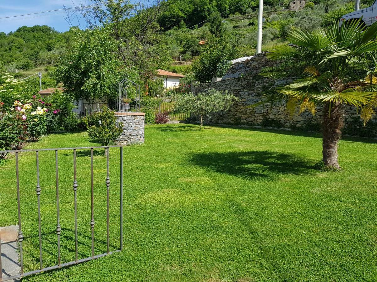 Green House Pieve di Teco 외부 사진